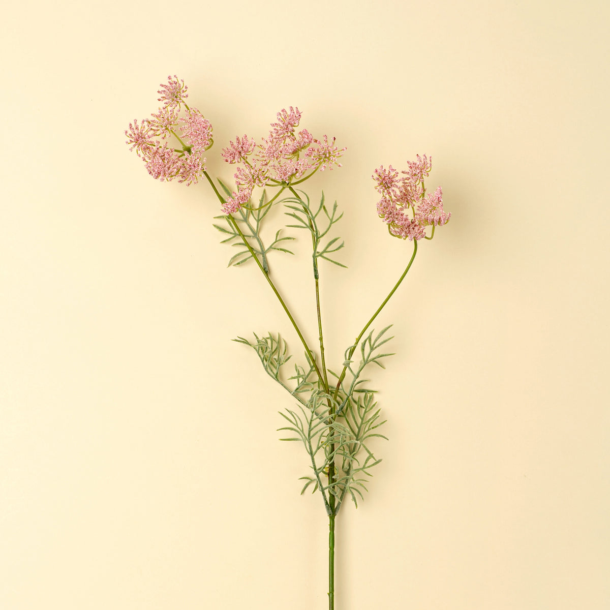 A  エレガントフラワー Queen Anne's Lace Spray, Pink – Indaba Home