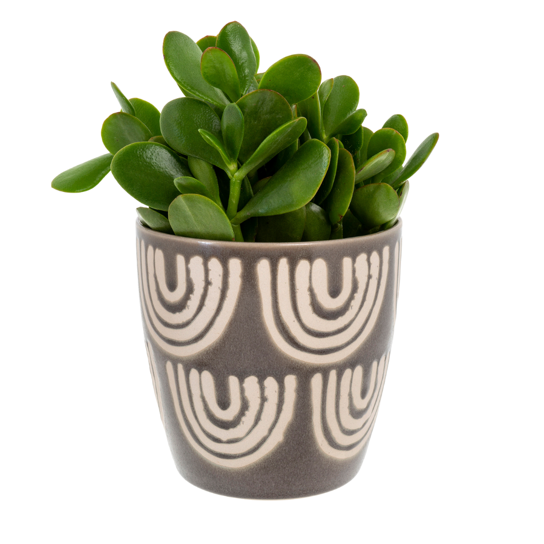 arches-pot-indaba-home