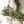 Stoneware Bow Pot L