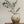 Hearth Terracotta Vase