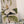 Magnolia Decorative Enameled Tray XL