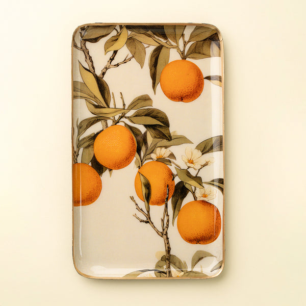 Orange Grove Decorative Enameled Tray L