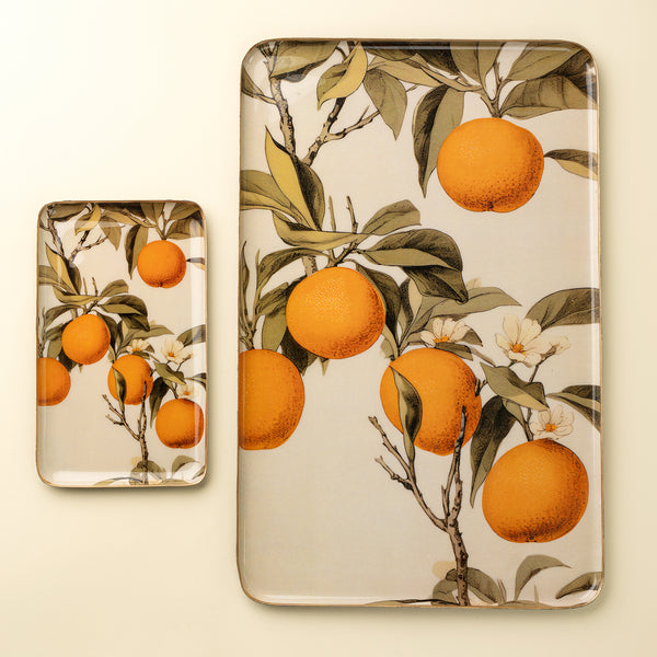 Orange Grove Decorative Enameled Tray L