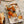 Orange Grove Decorative Enameled Tray L