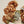 Autumn Hydrangea Spray, Burnt Orange