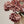 Autumn Hydrangea Spray, Dusty Pink