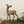 Vintage Deer