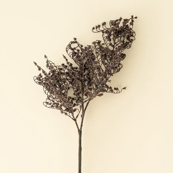 Dripping Dried Berry Spray