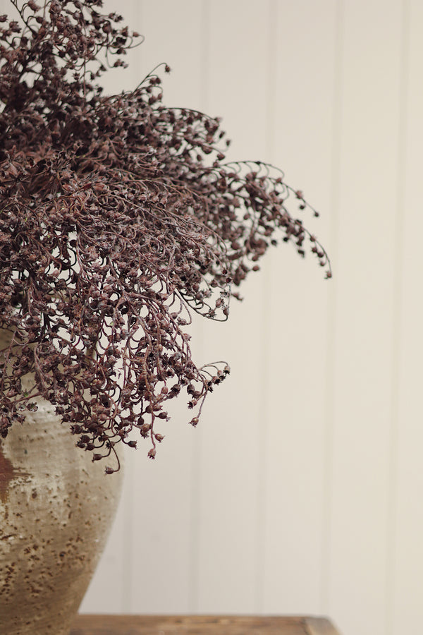 Dripping Dried Berry Spray