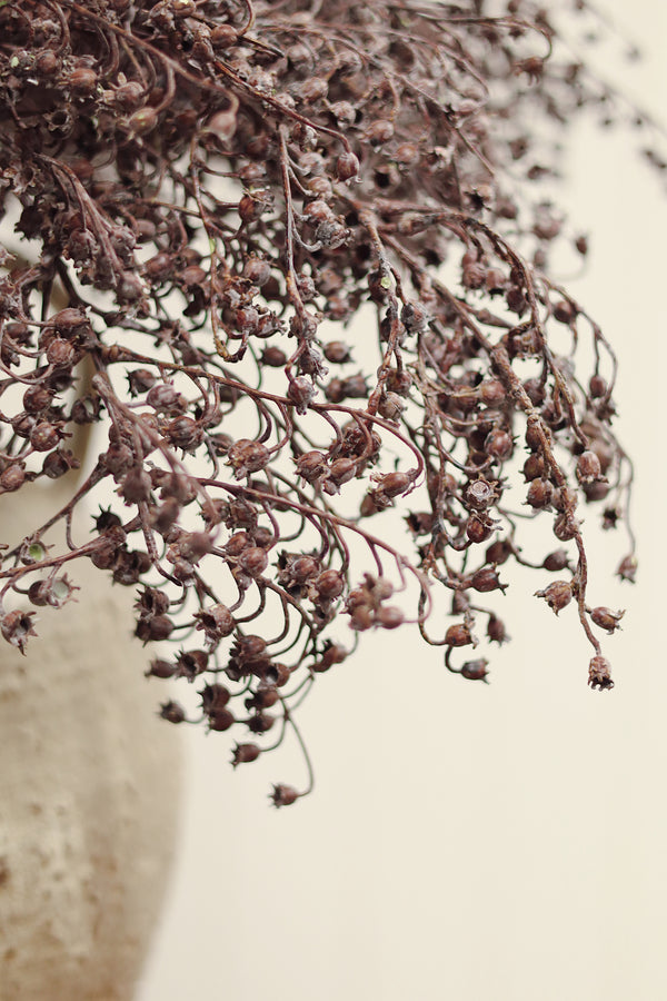Dripping Dried Berry Spray