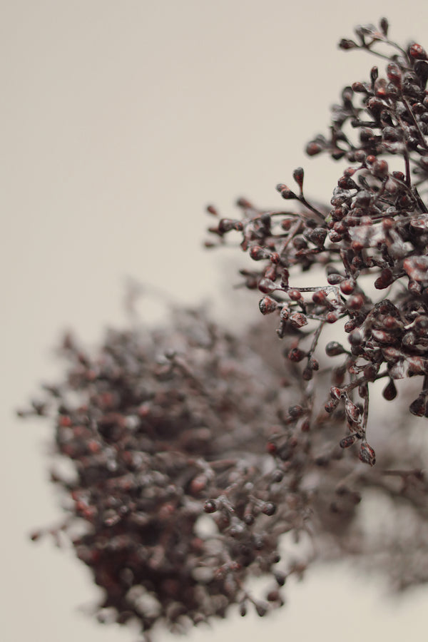 Viburnum Berry Stem, Deep Purple