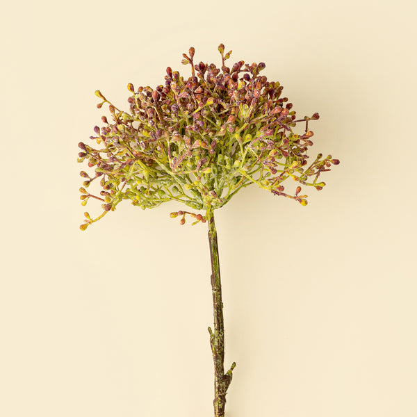 Viburnum Berry Stem, Pink