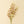 Wild Orchid Spray