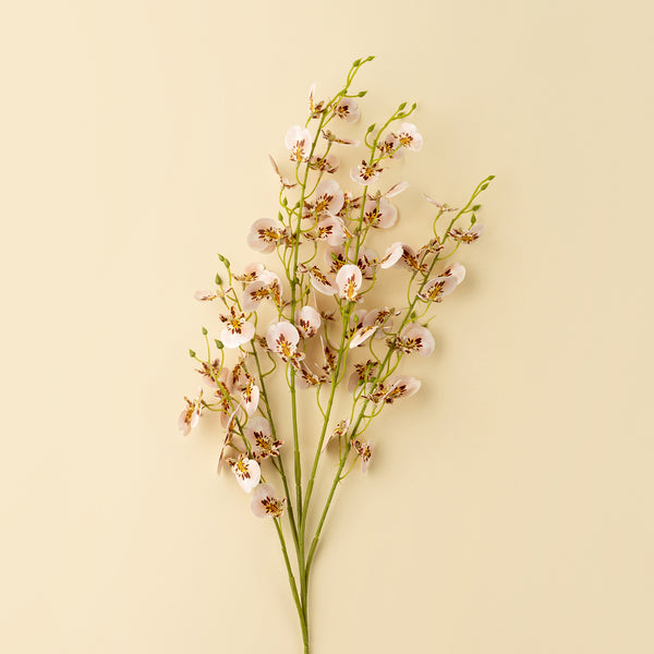 Wild Orchid Spray
