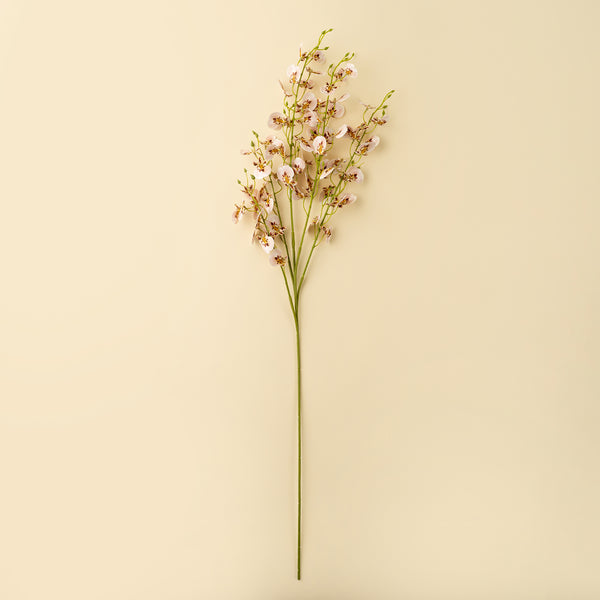 Wild Orchid Spray