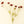 Calliopsis Spray, Rust Red