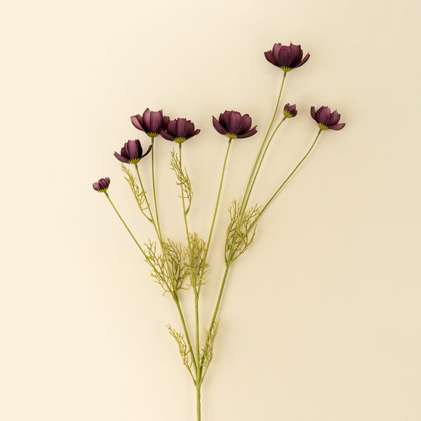 Calliopsis Spray, Deep Purple