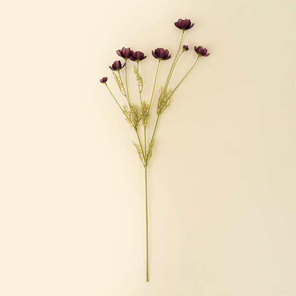 Calliopsis Spray, Deep Purple