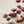 Calliopsis Spray, Deep Purple