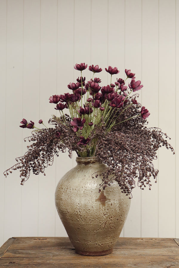Calliopsis Spray, Deep Purple