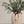Sandstone Terracotta Vase