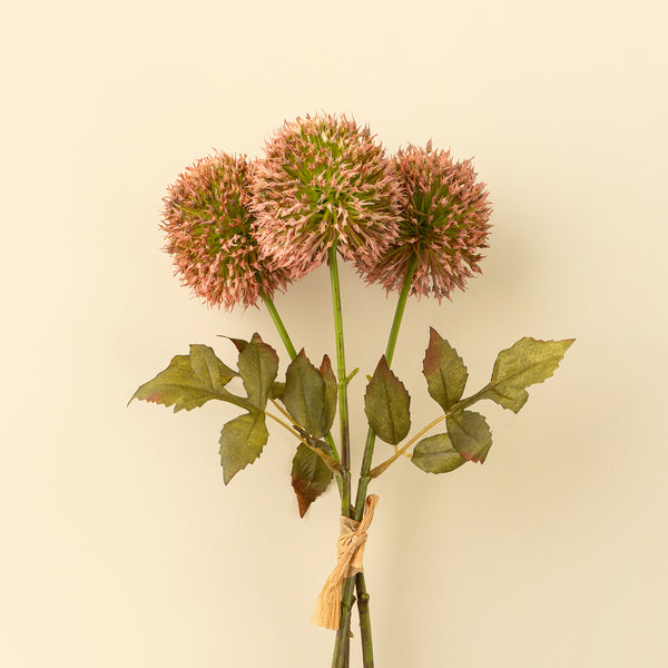 Allium Bouquet, Pink