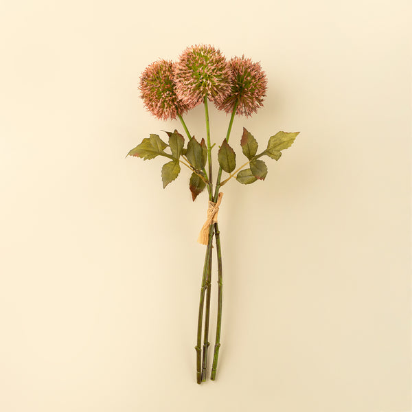 Allium Bouquet, Pink