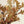 Oak Leaf Spray