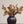 Oak Leaf Spray