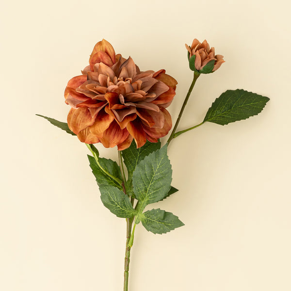 Dahlia Stem, Terracotta