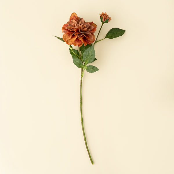 Dahlia Stem, Terracotta