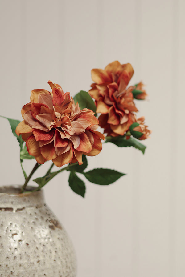 Dahlia Stem, Terracotta