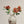 Dahlia Stem, Terracotta