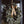 Wild Eucalyptus Wreath