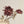 Real Touch Blooming Dahlia Spray, Burgundy