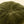 Velvet Tuft Round Cushion, Moss