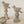 Vintage Bird Statuette S