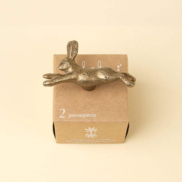 Jumping Bunny Iron Knobs S/2