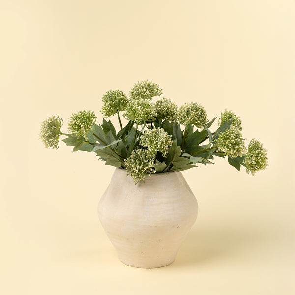 Sedum Spray, Green