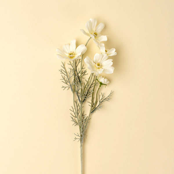 White Cosmos Spray