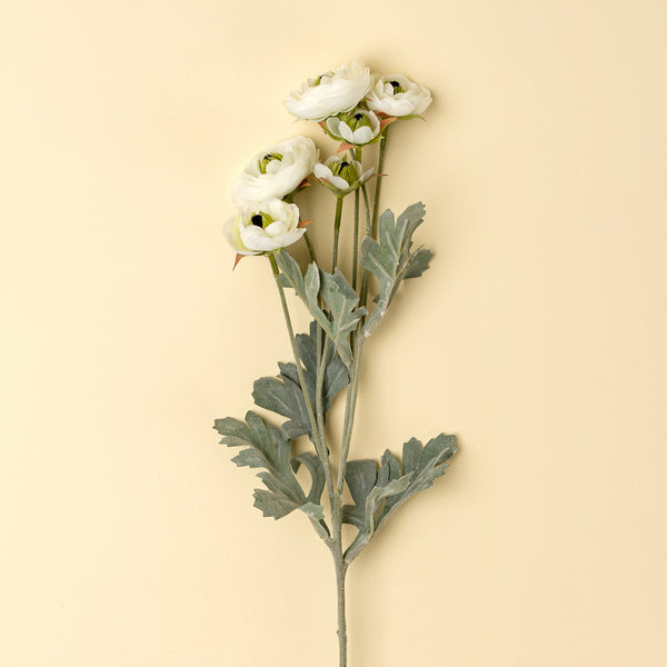 Ranunculus Spray, White