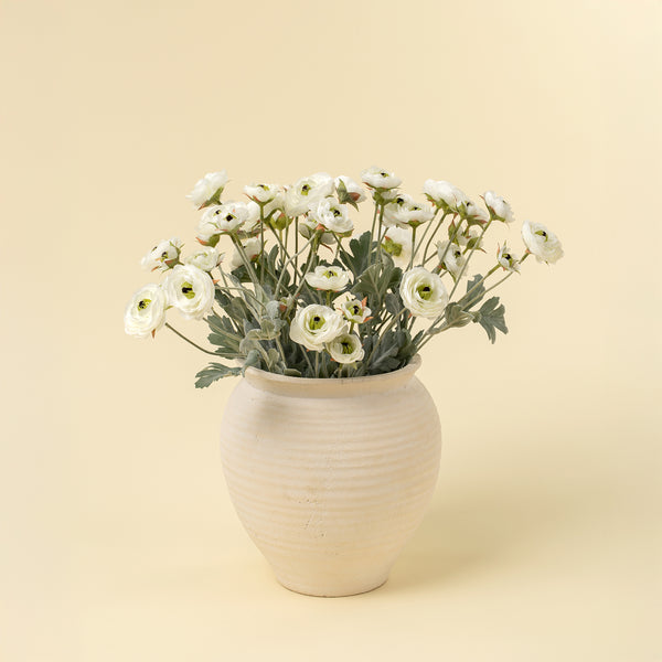 Ranunculus Spray, White