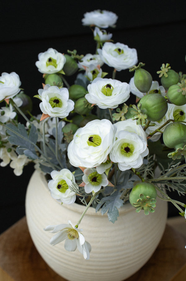 Ranunculus Spray, White