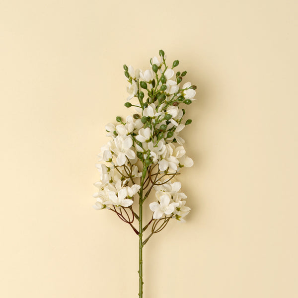 Delphinium Floral Stem, White