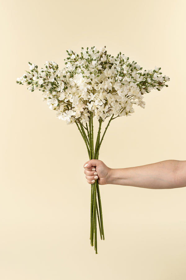 Delphinium Floral Stem, White