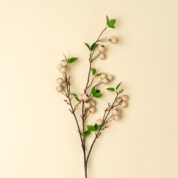 Wild Apple Berry Spray