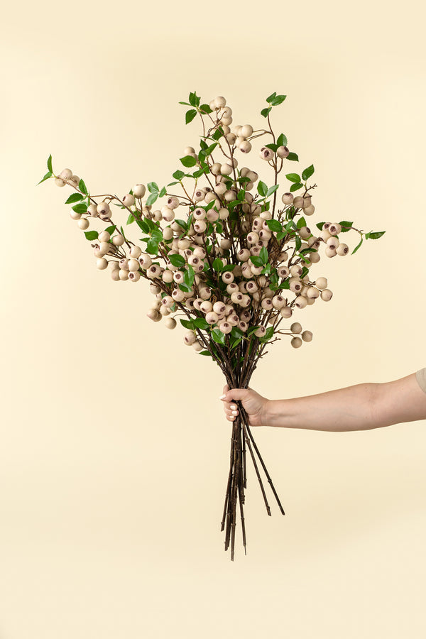 Wild Apple Berry Spray