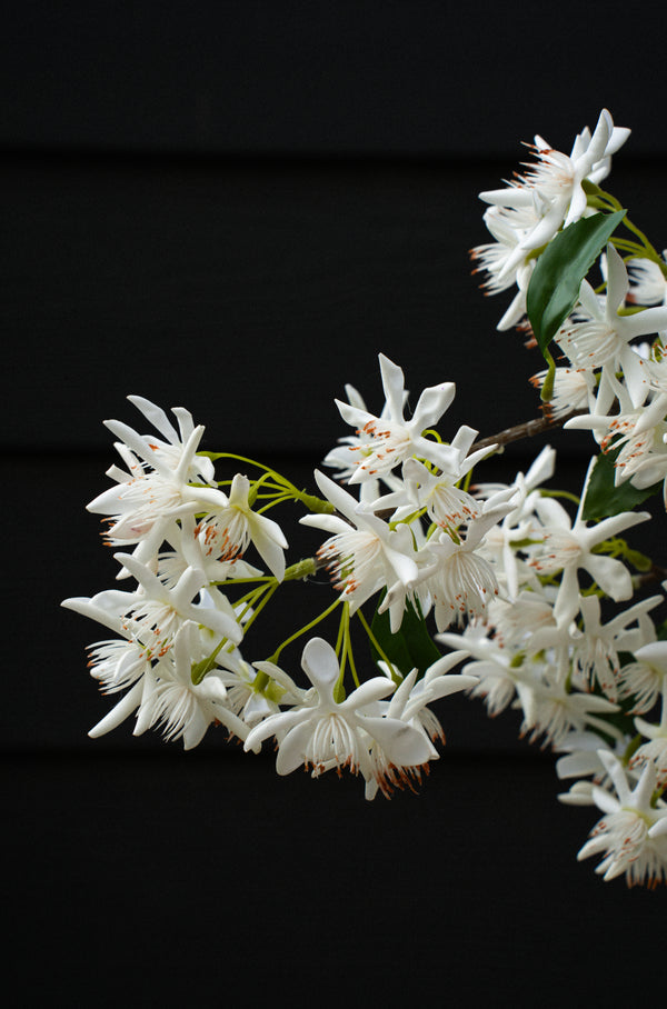 Star Magnolia Real Touch Branch