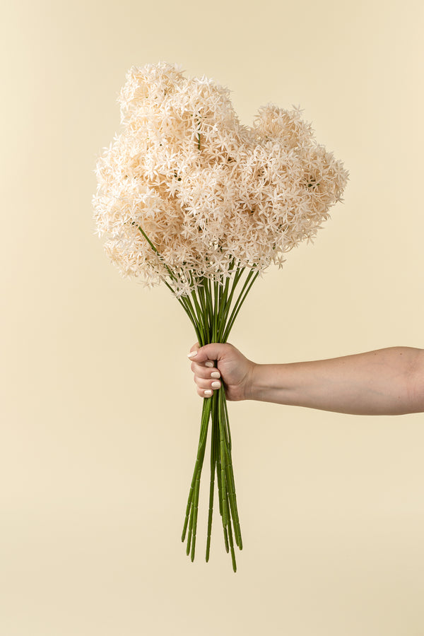 Allium Floral Spray, Champagne