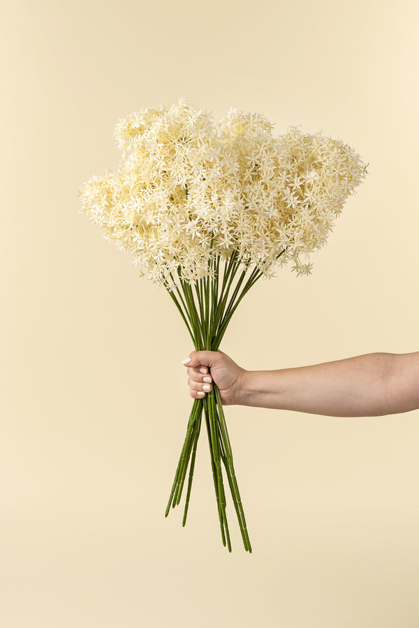 Allium Floral Spray, Cream